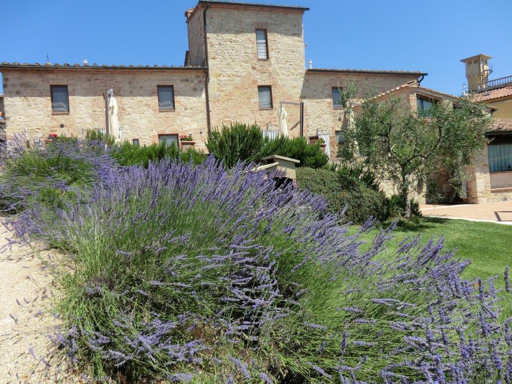 콜레 발델사 La Pieve Di San Martino 게스트하우스 외부 사진