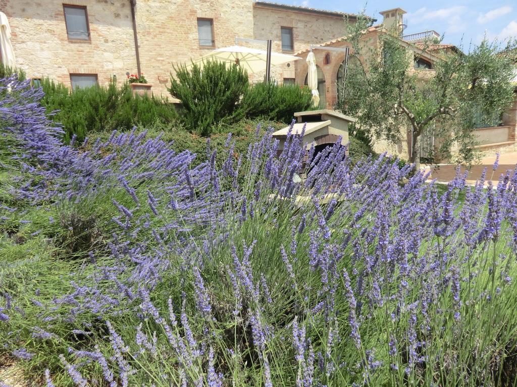 콜레 발델사 La Pieve Di San Martino 게스트하우스 외부 사진
